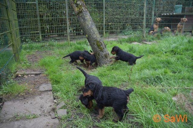 mt_gallery:2017_04_19-D-Wurf-640-1