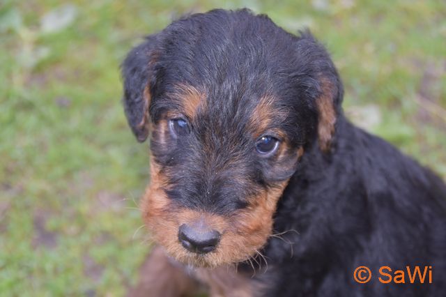 mt_gallery:2017_04_19-D-Wurf-640-2