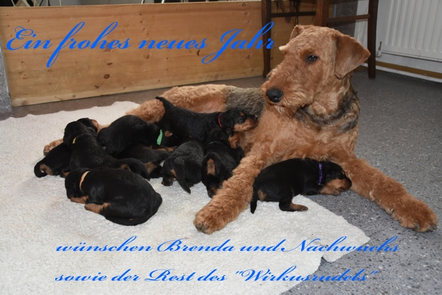 2017 12 28 E Wurf 009 640 Text