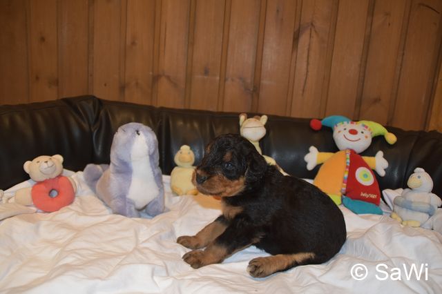 2018 01 05 E Wurf 001