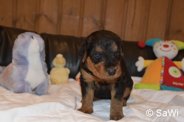 2018 01 05 E Wurf 002