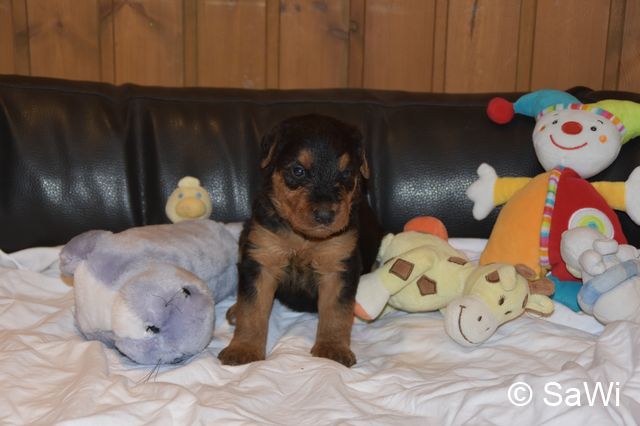 2018 01 05 E Wurf 003