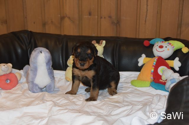 2018 01 05 E Wurf 004