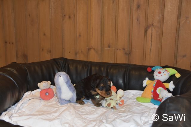 2018 01 05 E Wurf 005