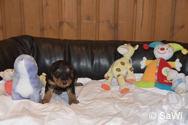 2018 01 05 E Wurf 006