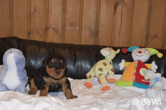 2018 01 05 E Wurf 007