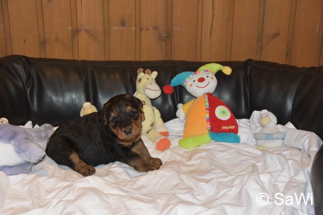 2018 01 05 E Wurf 008