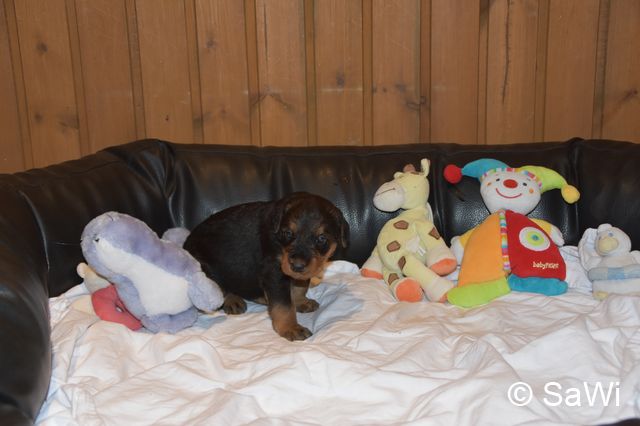 2018 01 05 E Wurf 009