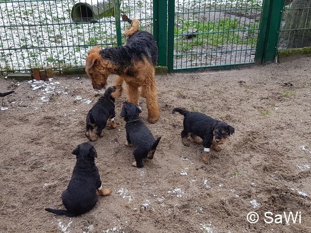 2018 01 19 E Wurf 003