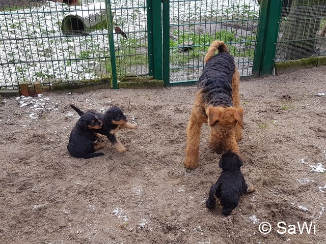 2018 01 19 E Wurf 004