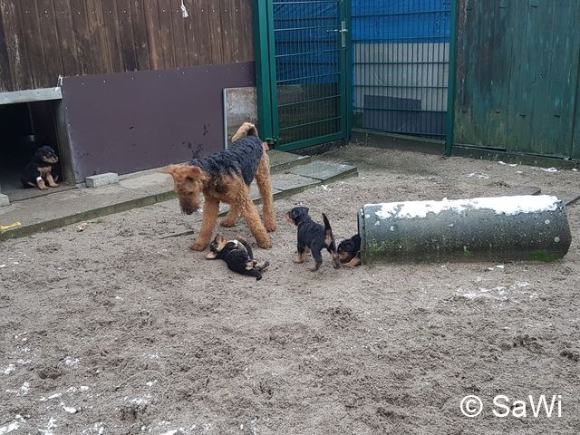 2018 01 19 E Wurf 009