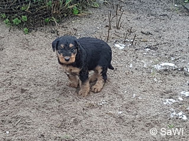 2018 01 19 E Wurf 010