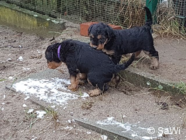 2018 01 19 E Wurf 011