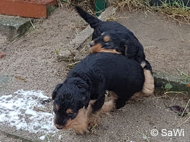 2018 01 19 E Wurf 012