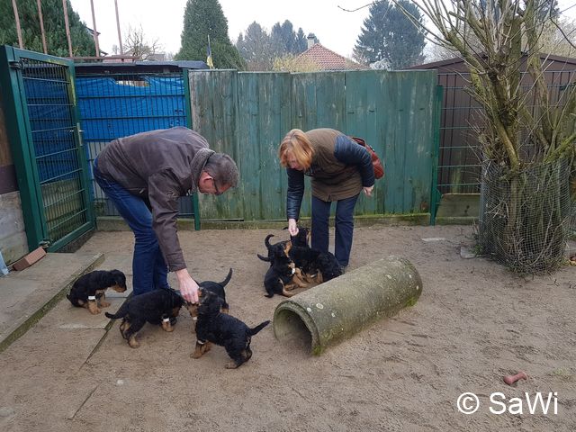 2018 02 01 E Wurf 001