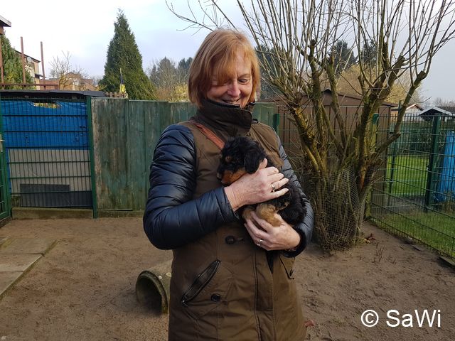 2018 02 01 E Wurf 002