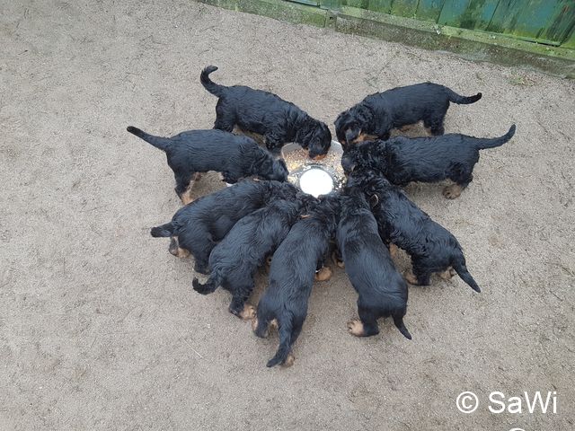 2018 02 01 E Wurf 003