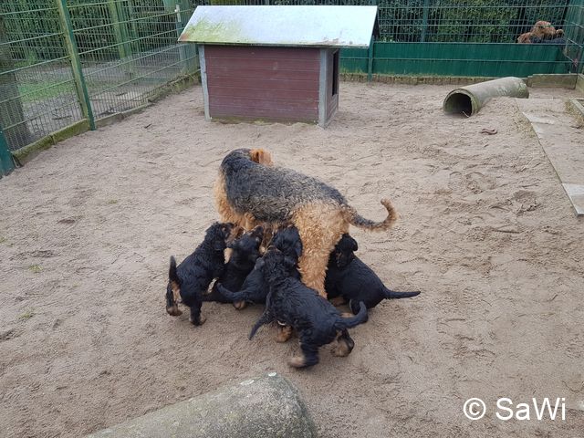 2018 02 01 E Wurf 004