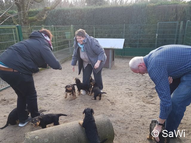 2018 02 01 E Wurf 005