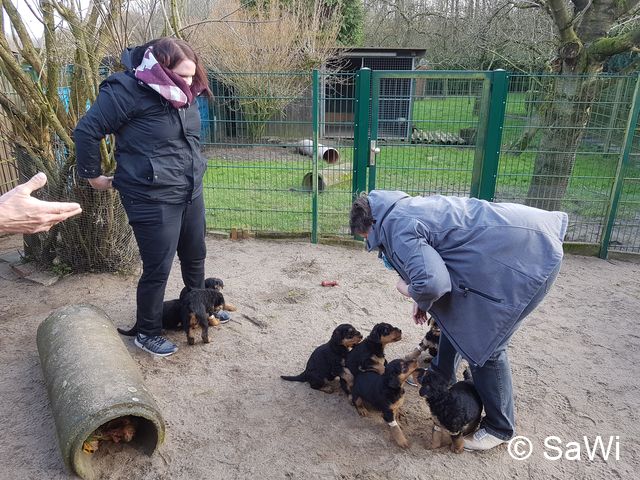 2018 02 01 E Wurf 006