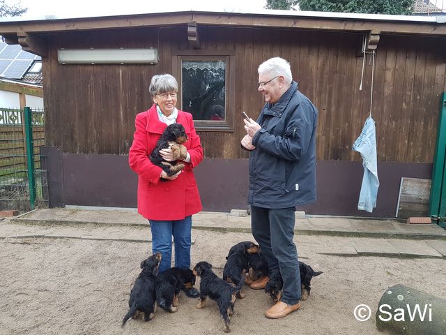 2018 02 01 E Wurf 007