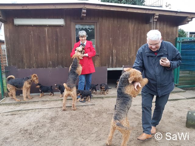 2018 02 01 E Wurf 008