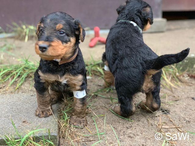 mt_gallery:2019-02-14-F