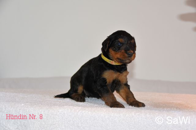 mt_gallery:2019-03-02-F-M