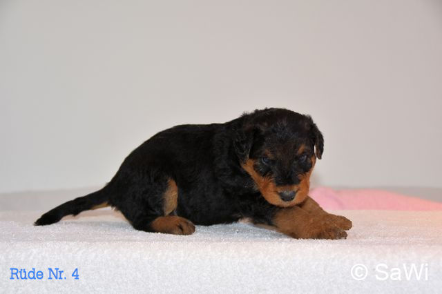 mt_gallery:2019-03-02-F-R