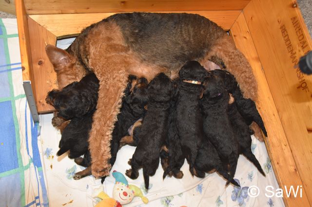 mt_gallery:2019-03-02-F-Z