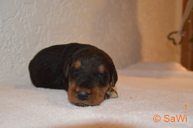 mt_gallery:2019_01_24-F-m