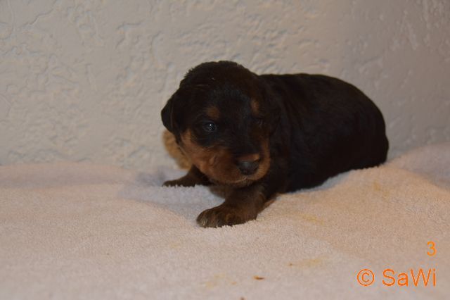 mt_gallery:2019_01_24-F-w