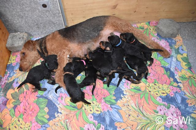 mt_gallery:2019_01_25-F