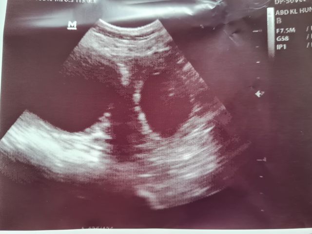 2021 08 09 Brenda Ultra 640