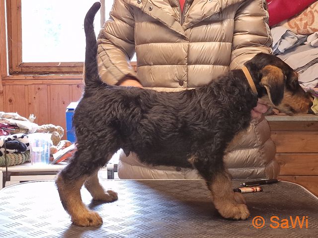 2017.01.06 Brenda 640