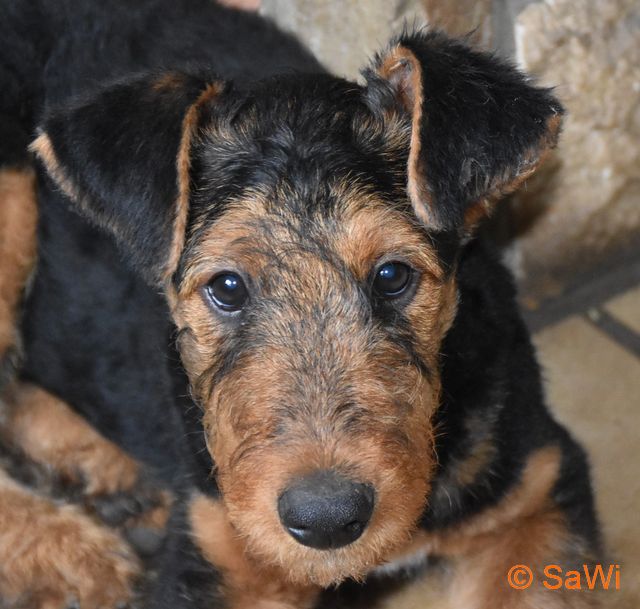 2017.01.06 Brenda 640