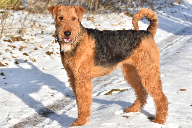 2017.01.06 Brenda 640