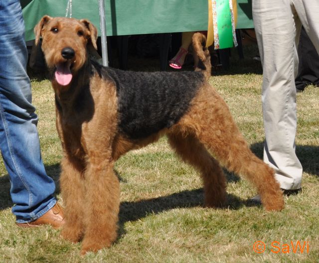 2017.01.06 Brenda 640