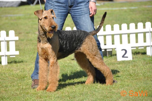 2017.01.06 Brenda 640