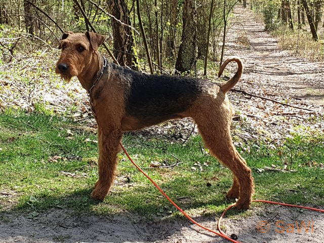 2017.01.06 Brenda 640